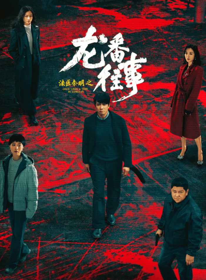 法医秦明之龙番往事海报